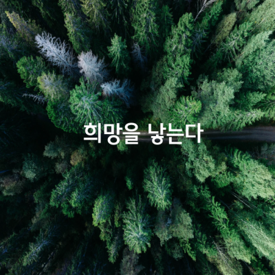 모든 것을 잃었다 해도 희망만 남아 있다면