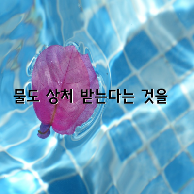 몰랐습니다. 사람처럼 물도 상처 받는다는 것을 / 허수경