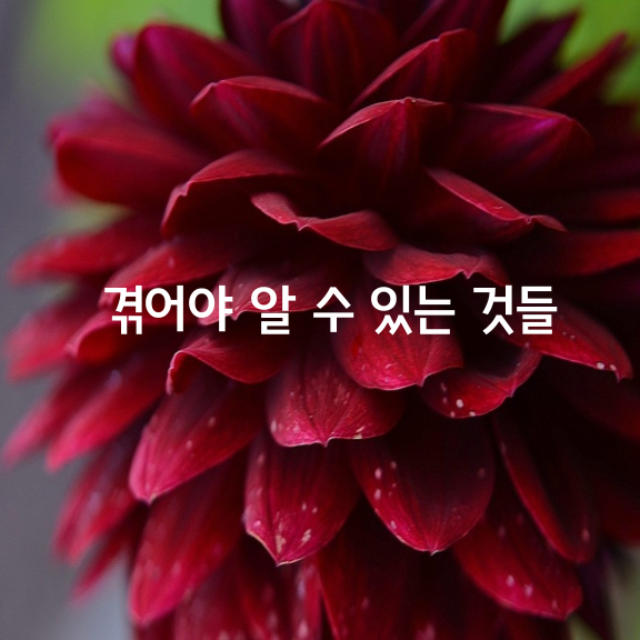 몸소 겪어야 알 수 있는 것들