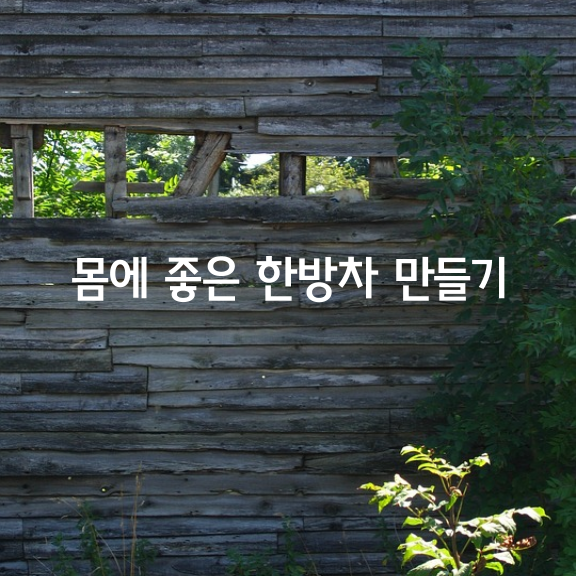 몸에 좋은 한방차 만드는 법