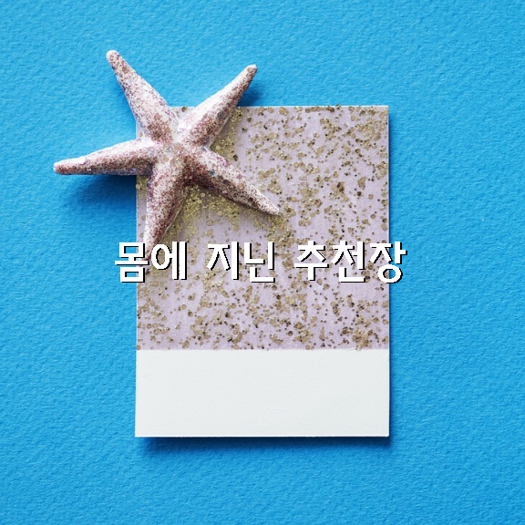 몸에 지닌 추천장