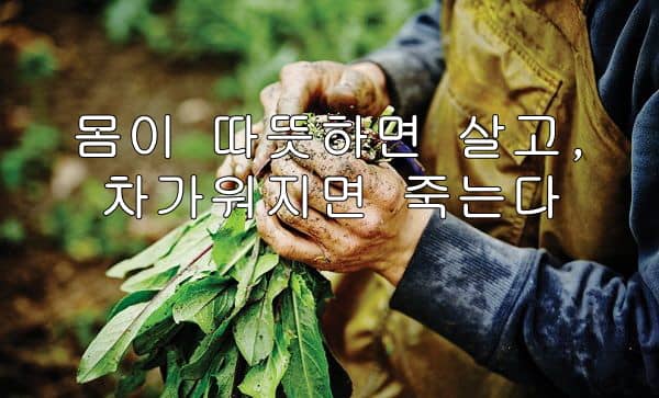 몸이 따뜻하면 살고, 차가워지면 죽는다