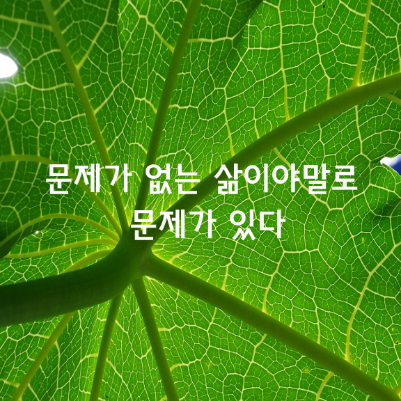 문제가 없는 삶이야말로 문제가 있다.