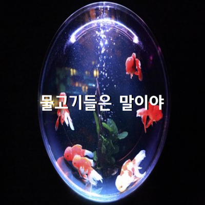 물고기들은 말이야.