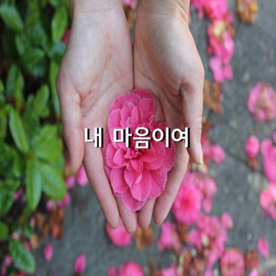 물길 / 이정하