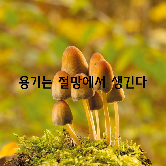 미국 여성 최초의 노벨문학상 수상자인 펄 벅 여사는 선교사인 아버지를 따라 중국에서 어린 시절을 보냈다.