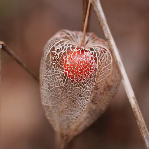 미움에게 방 한 칸 지어 주기