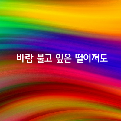 바람 불고 잎은 떨어져도