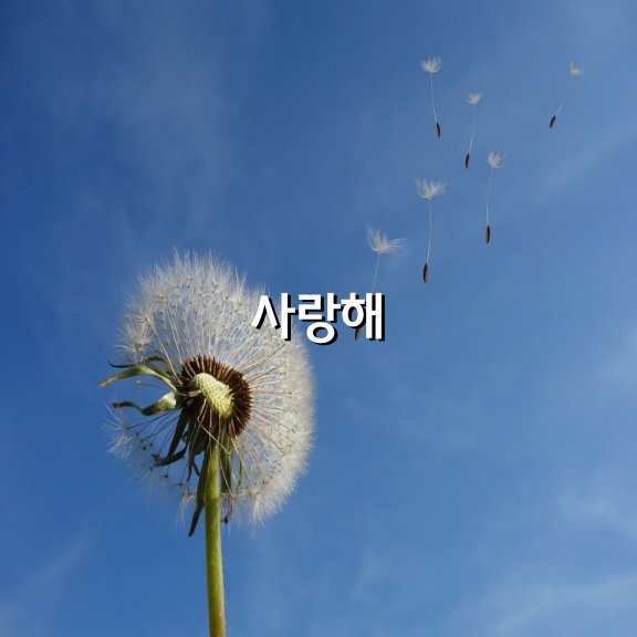 바람불어 좋은 날