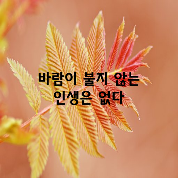 바람이 불지 않는 인생은 없다.