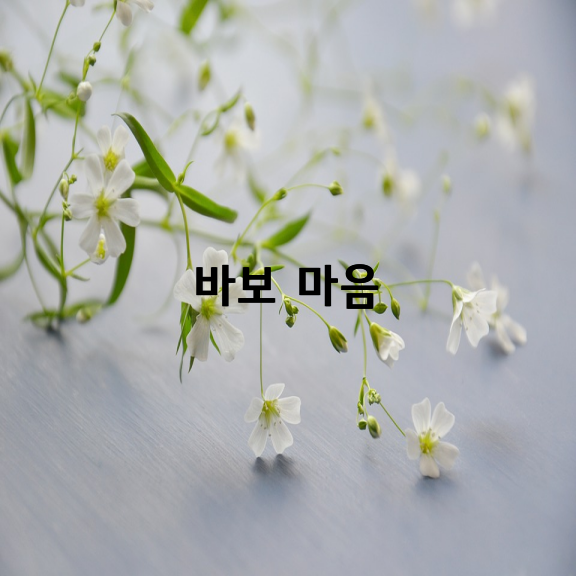 바보 마음  /  정말지 수녀님