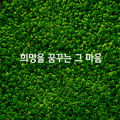 바쁘게 달려가는 사람들을 바라보면