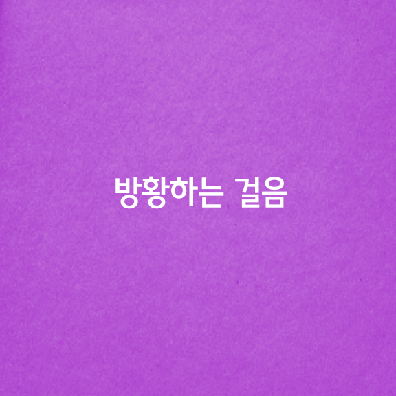 방황하는 걸음