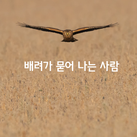 배려가 묻어 나는 사람