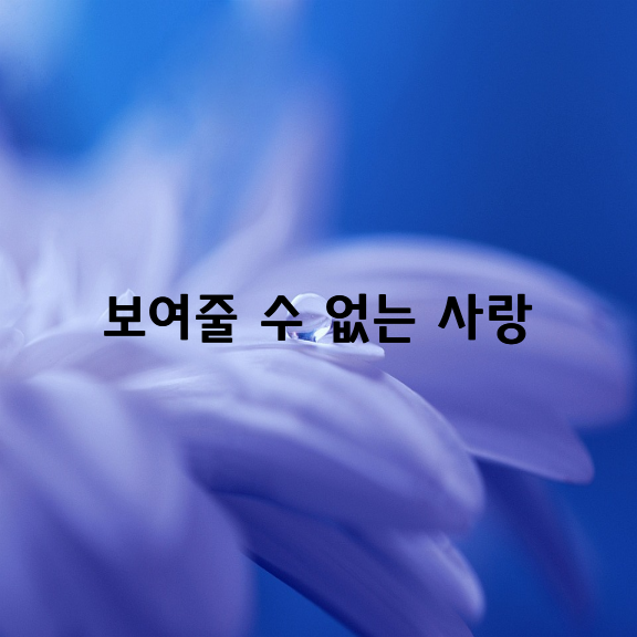 보여줄 수 없는 사랑 / 이정하