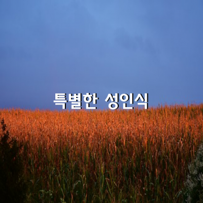 북미 인디언의 특별한 성인식