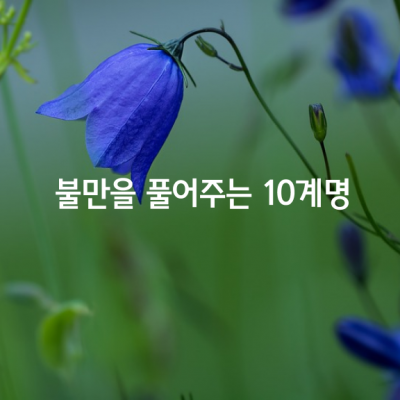 불만을 풀어주는 10계명