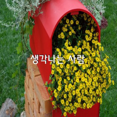 빨간 우체통을 보면