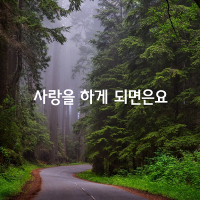 사람들은 모두 가슴 속에