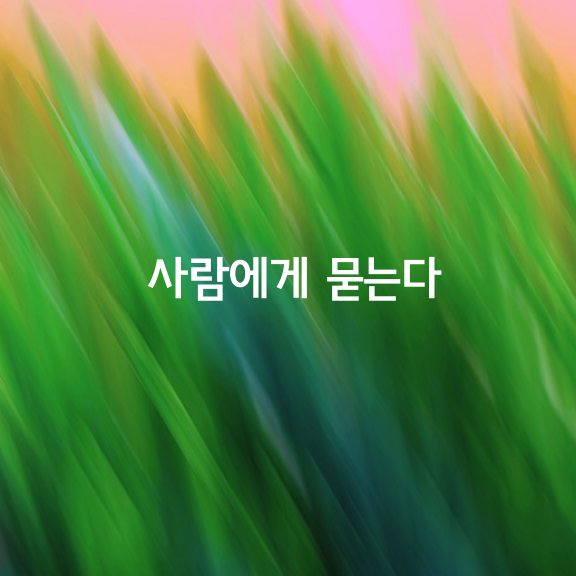 사람에게 묻는다