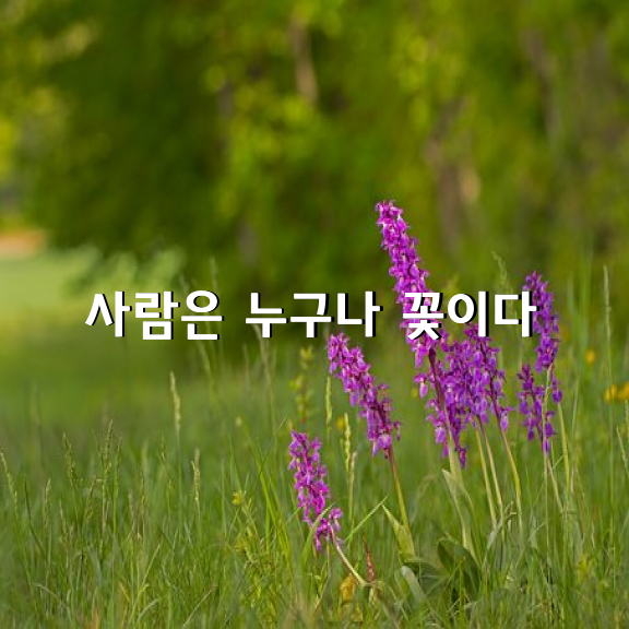 사람은 누구나 꽃이다