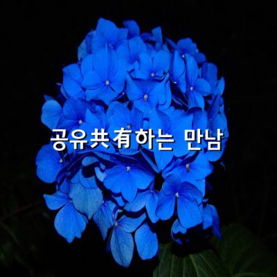 사람은 저마다 따로따로 자기 세계를 가꾸면서도