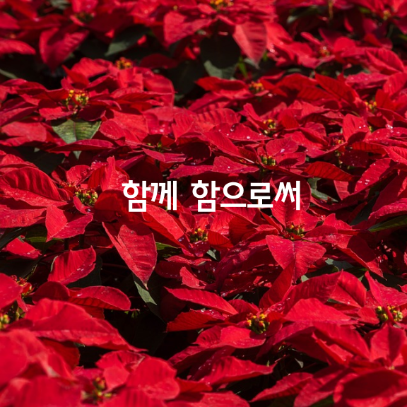 사람은 제각기 생김새가 다르듯 성장하고 발전하는 속도와 모습 또한 다르기 마련이에요.