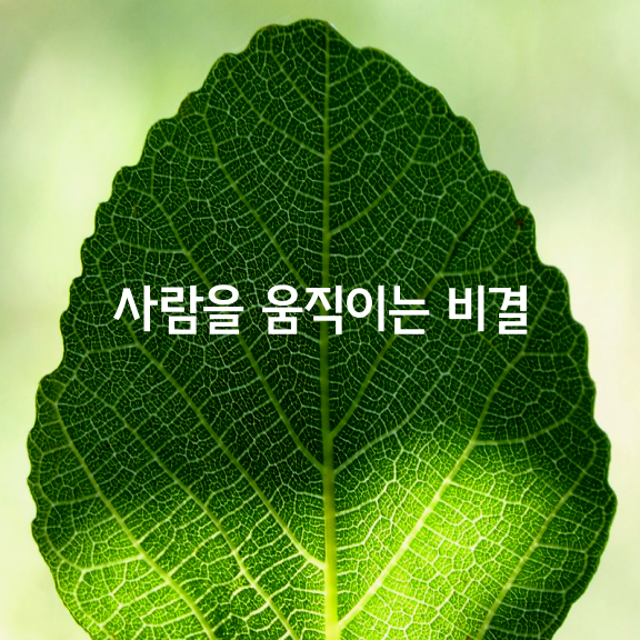 사람을 움직이는 황금비결 30가지