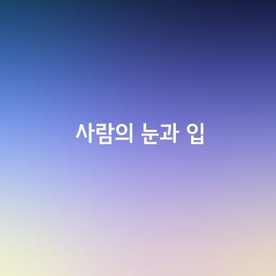 사람의 눈은