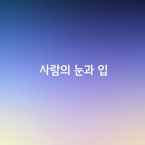 사람의 눈은