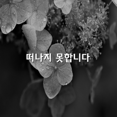 사랑 / 정호승