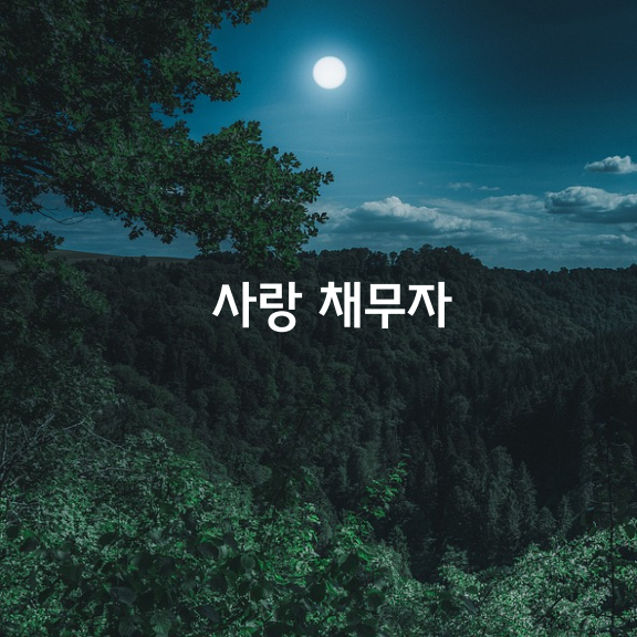 사랑 채무자