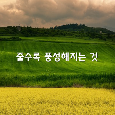 사랑은 줄수록 풍성해지는 것