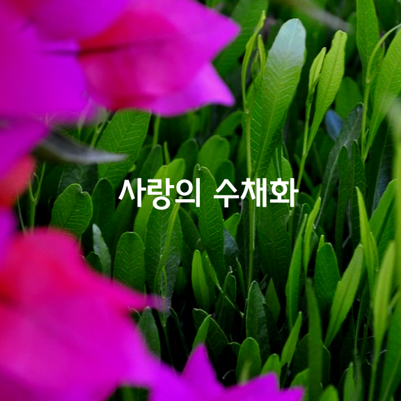 사랑의 수채화