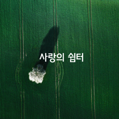 사랑의 쉼터