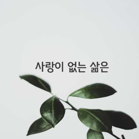 사랑이 없는 삶은