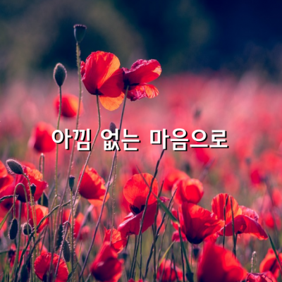 사랑하기에도 부족한 시간, 감사하기에도 부족한 시간일진데 그 짧은 인생길에서 언성을 높이지 말며 서로의 가슴에 상처되는 일을 그만 두어라.