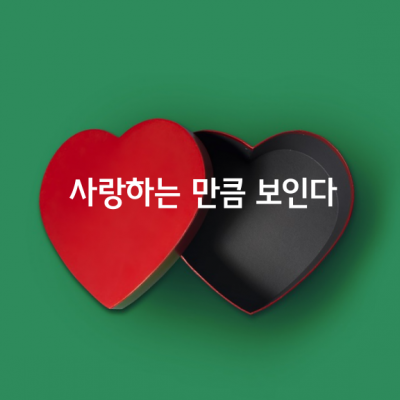 사랑하는 만큼 보인다