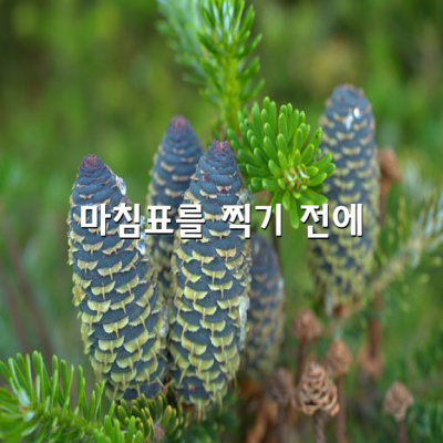 삶