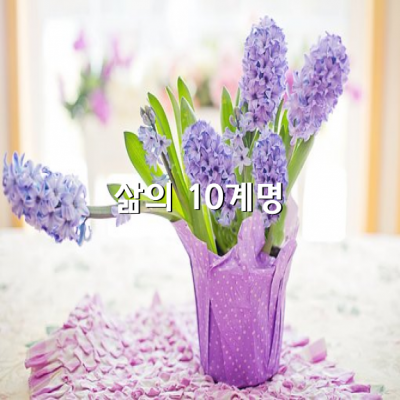 삶의 10계명…