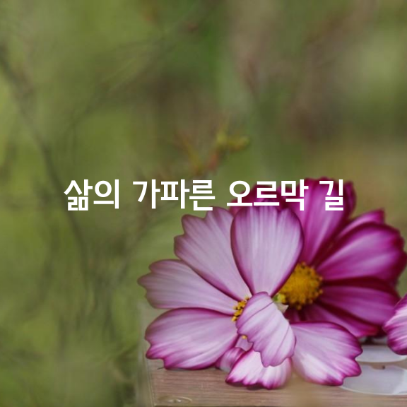 삶의 가파른 오르막 길