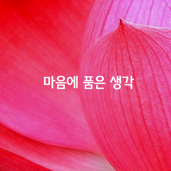 삶의 목표가 없는 사람은