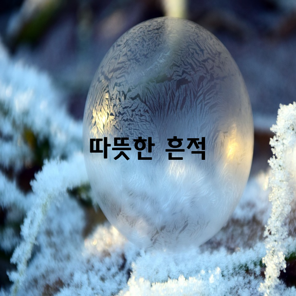 삶의