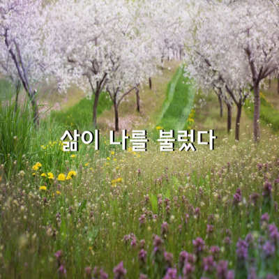 삶이 나를 불렀다 / 김재진