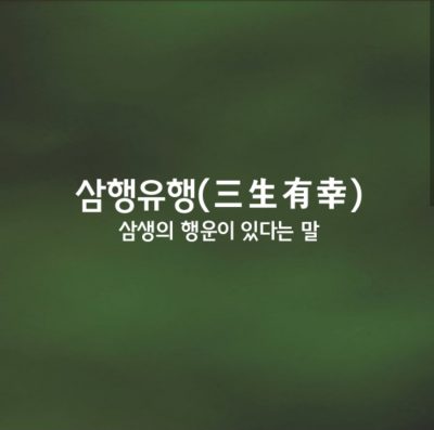 삼행유행ㅣ三生有幸