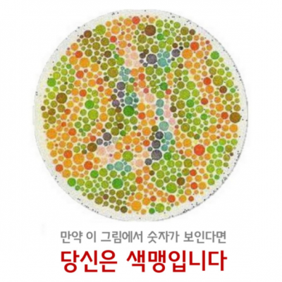 색맹 테스트