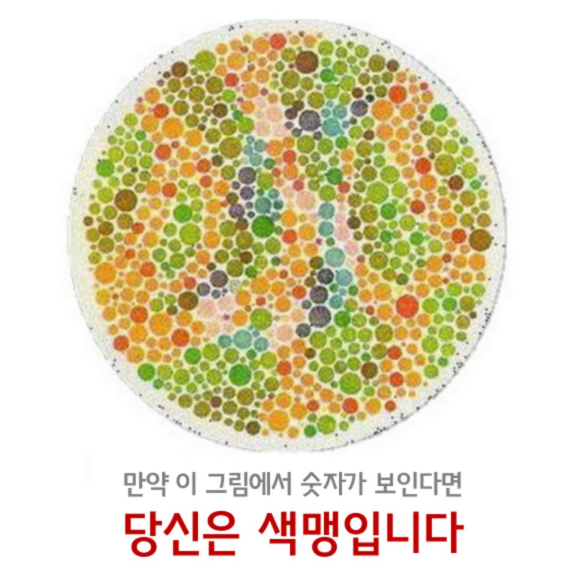 색맹 테스트