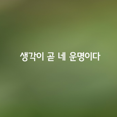 생각이 곧 네 운명이다