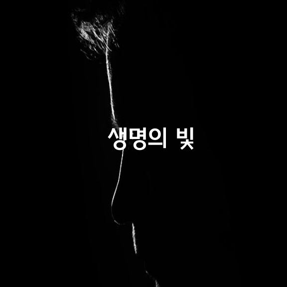 생명의 빛