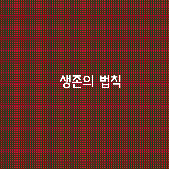 생존의 법칙